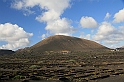 Kanary_2010 367